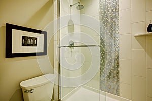 Glass walk-in shower in a bathroom of brand-new home