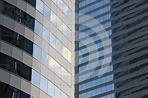 glass wall of a skyscraper.