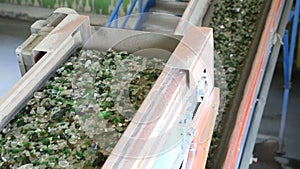 Glass waste in recycling facility. Glass particles in a machine. Line