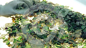Glass waste worker is recycling glass bottles in a recycling facility. Different glass packaging bottle waste. Glass waste