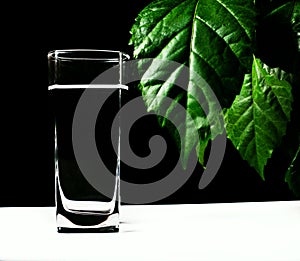 Glass of water