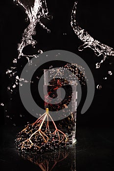 Glass of water and black elderberry berries on a dark background