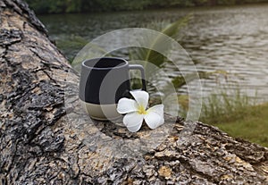 Glass of water with flowers