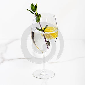 Glass of water and lemon