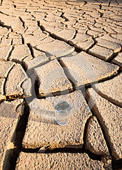 A Glass Of Water On Parched Soil VI