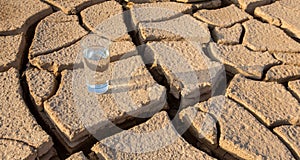 A Glass Of Water On Parched Soil VII