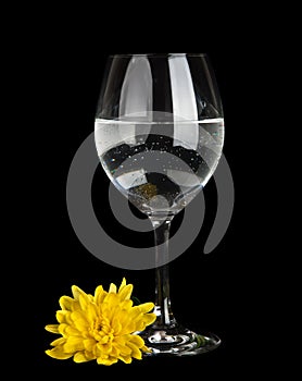 Glass with water and yellow flower isolated
