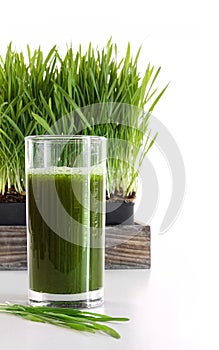 Glass of wheatgrass on white