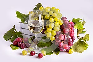 Glass with white sparkling wine, green and pink grapes with leaves in a white box