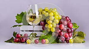 Glass with white sparkling wine, green and pink grapes with leaves in a white box