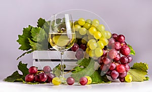 Glass with white sparkling wine, green and pink grapes with leaves in a white box