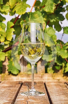 Glass of white wine