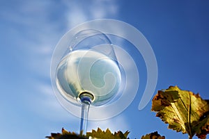 Glass of white wine against a blue sky