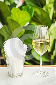 A glass of white wine chardonnay sauvignon blanc riesling wine bar