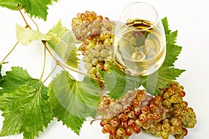 A glass of white wine, fresh grapes and grape leaves