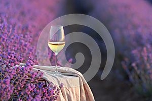 Glass of white wine in a lavender field. Violet flowers on the background.