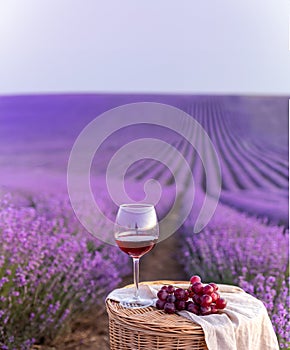 Glass of white wine in a lavender field. Violet flowers on the background.