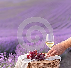 Glass of white wine in a lavender field. Violet flowers on the background.