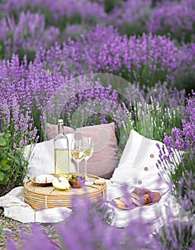 Glass of white wine in a lavender field. Violet flowers on the background.