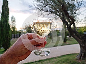 Glass of white wine in man hand and blurred summer nature at the background