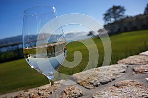 Glass of white wine reflecting golf course