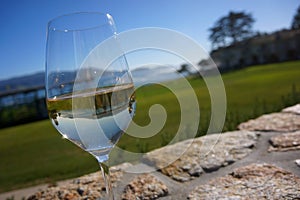 Glass White Wine Reflection Pebble Beach Golf