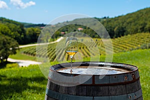 Glass with white wine on the rustic wooden barrel. Istrian vineyard in background. Croatia