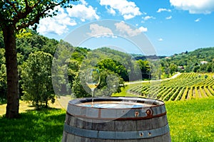 Glass with white wine on the rustic wooden barrel. Istrian vineyard in background. Croatia