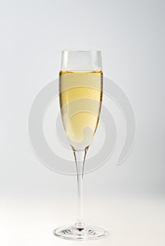 Glass of white wine on a white background