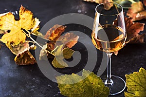 Glass of white wine and wine bottle in close up view of the wineglasses over abstract gray background with copy space