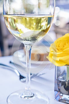 Glass of White Wine and a Yellow Rose 2
