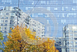 Glass windows of office building