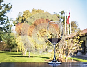 Glass of wine in a Chilean Vineyard - Santiago, Chile