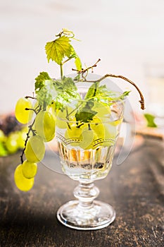 Glass of wine with fresh grapes on a branch inside on dark wooden background close up