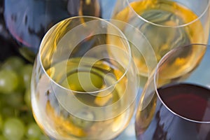 Glass of wine, fresh grapes menu card on a blue wooden background