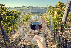Glass of wine in hand of tourist in a natural landscape of Tuscany, with green valley of grapes. Wine beverage tasting
