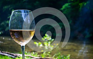 Glass of wine in nature. Relax in nature