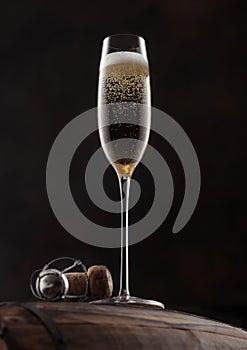 Glass of yellow champagne with cork and wire cage on top of wooden barrel on black