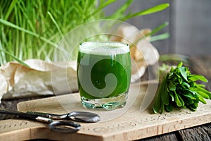 A glass of young green barley grass juice