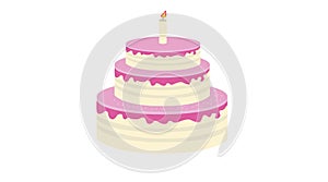 Birthday Cake with a Candle