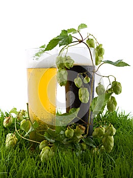 Glasses of beer on the grass.