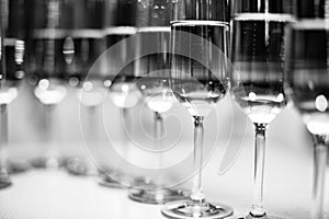 Glasses of champagne. Black and white photo