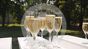 Glasses of champagne with bubbles standing on a white table on a background of nature. Slowmo