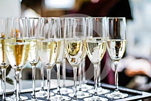 Glasses of champagne and sparkling wine served on a tray during charity event