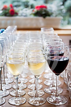 Glasses of champagne white wine, red wine. Glass glasses with colored drinks on the table