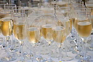 Glasses filled with champagne, ready to be served