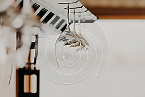 Glasses hanging over bar rack. Empty Glasses for wine above a bar rack