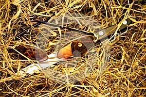 Glasses and knife on dry grass