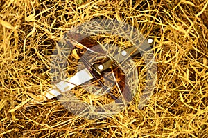 Glasses and knife on dry grass