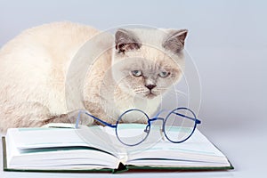 Glasses, lying on the book